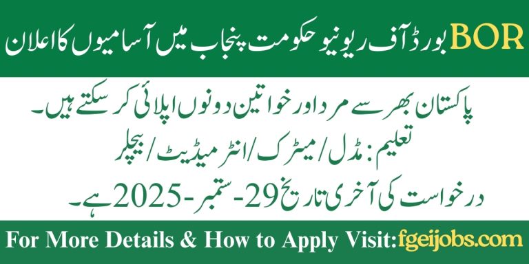 Board of Revenue BOR Govt of Punjab Jobs 2025