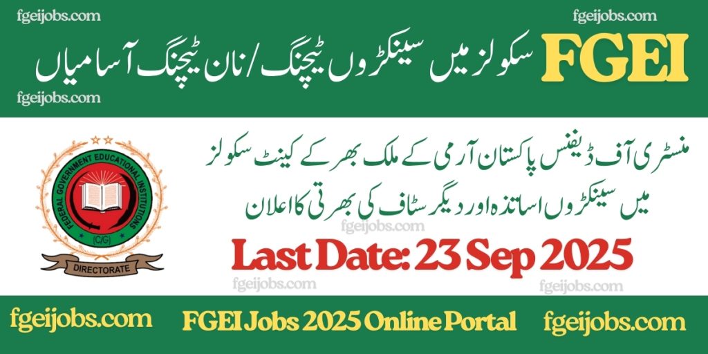 FGEI Jobs 2025 Online Portal