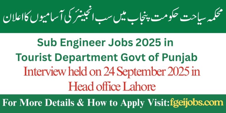 Tourist Department Govt of Punjab Jobs 2025