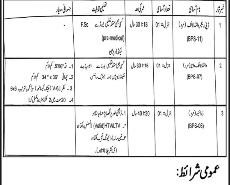 Forest Department Latest Jobs Advertisement 2025 BS-06 TO BS-11