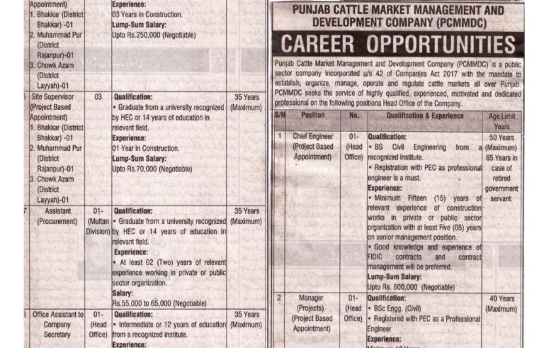 Punjab Cattle Market Management & Development Company Lahore 2025 Advertisement