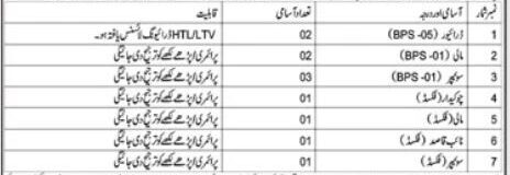 Deputy Commissioner DC Office Latest Jobs 2025 Advertisement