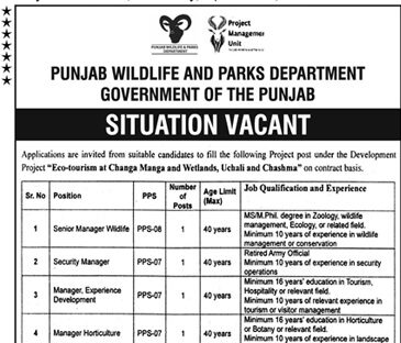 Punjab Wildlife & Parks Department Lahore Latest Jobs Advertisement 2025