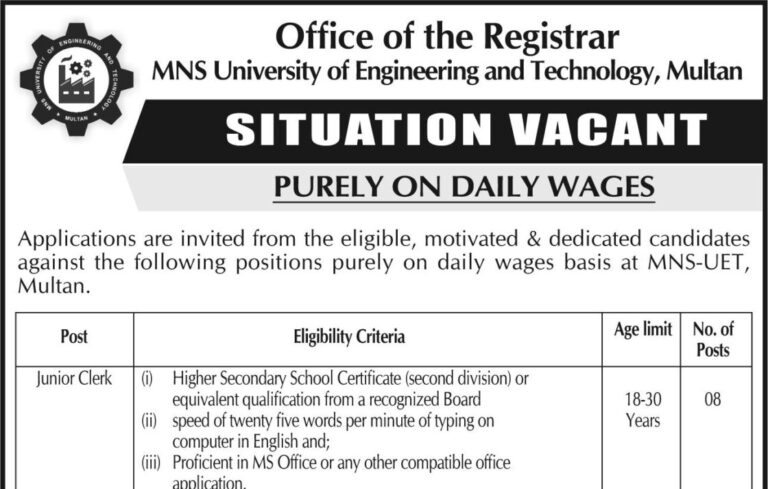 MNS University of Engineering and Technology Jobs 2026 Advertisement