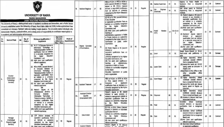 University Of Rasul Mandi Bahauddin Jobs 2026 Latest Advertisement