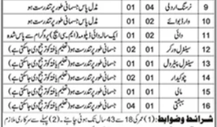 District Headquarter Hospital Jobs Advertisement 2026 BS-01 TO BS-09