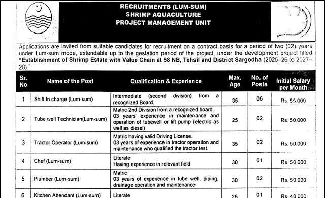 Project Management Unit PMU Lahore Jobs 2026 Apply Online