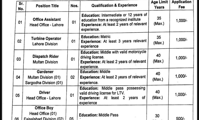 Punjab Cattle Market Management & Development Company Lahore Jobs May 2026
