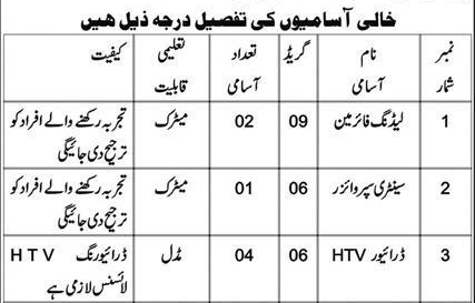Municipal Committee Jobs 2026 BS-01 TO BS-09