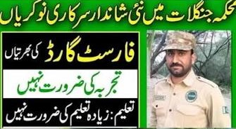 Forest Department Forest Guard BPS-08 Jobs 2026 Apply Online